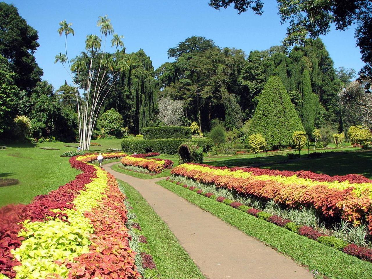 Kandy View Garden Hotel Exterior foto